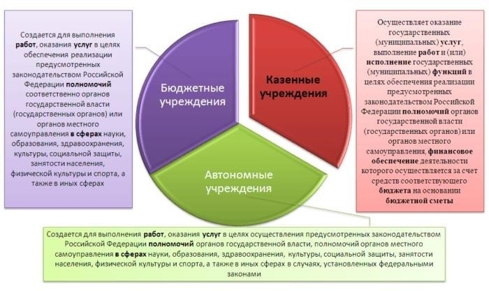 Иллюстрация 1. Категории государственных (муниципальных) организаций.