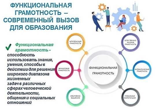 Дополнительное профессиональное образование: что это, виды, программы, где можно получить